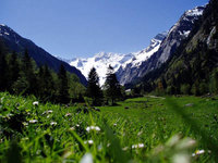 Volunteering in the Zillertal Alps High Mountain Nature Park