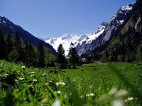 Volunteering in the Zillertal Alps High Mountain Nature Park