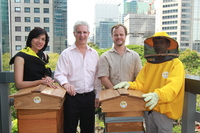 Onyx Hospitality Group creates a buzz with ‘Plan Bee’