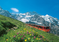 Get on track with your Jungfrau VIP Pass