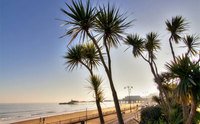 The flags are out for the Isle of Wight's beaches