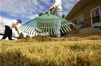 Holidaying Brits warned to secure gardens against green-fingered thieves
