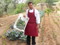 Phoenicia Hotel Malta unveils new kitchen garden for self-sourced restaurant