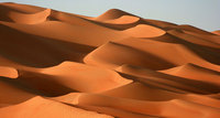 Off the beaten track in in the United Arab Emirates