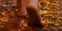 Feel the grass under your feet, see the autumn colour in the trees