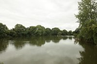 New homes in demand as Westerleigh Park opens