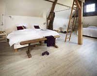 No need for “cosy” carpet this winter