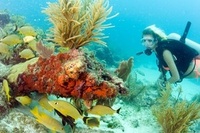 'Wreck Trek' dive initiative showcasing Florida Keys shipwrecks extended