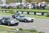 A Jamboree of Jaguars set to pounce on the 2013 Goodwood Revival