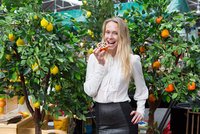 Orange and Lemon are the new (Green &) Black