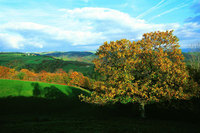 Explore the Lot Valley this autumn