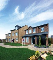 Sales flying high at Kingfishers