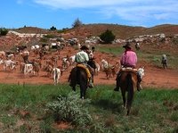 May is the ideal time to head West