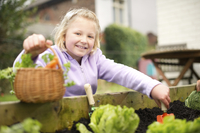 How does your garden grow? Helpful advice promises a bumper crop