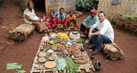 Jimmy Doherty and Kate Quilton investigate The World's Best Diet