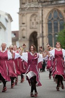 Warwick Folk Festival’ gears up for another successful year