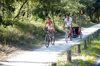 Cycling holidays in Poitou-Charentes