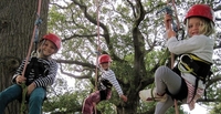 New tree-spirited climbing adventures at The National Forest Wood Fair