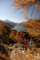 Leaf peeping in Switzerland: Closer than New England
