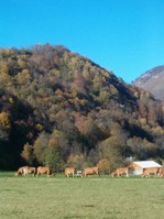 Autumnal Art Retreats in the French Pyrenees