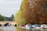 Henley on Thames colourful autumn collection