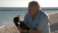David Attenborough to present new series on the Great Barrier Reef