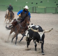 Experience a western adrenaline rush