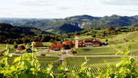 Exclusive Brazilian wine tours to Southern Brazil