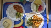 New data shows 1.3 million more infants eating free school meals