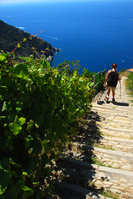 New trail running race launches through the vineyards of the Italian Riviera