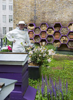 Urban bee keeping workshops