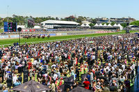 Melbourne Cup not to be missed