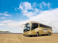 Bakers Dolphin Gold Coach