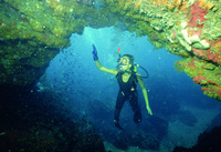 Region of Murcia invites diving fans to take the plunge this summer
