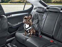 A mutts-have this summer: The dog safety range from Skoda