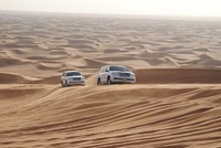 Experience the wilderness of the Abu Dhabi desert