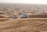 Experience the wilderness of the Abu Dhabi desert