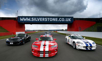Record numbers of Vipers to snake around Silverstone