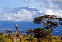 5 reasons why your next adventure should be Tanzania