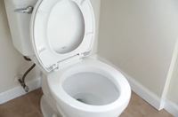 6 important things to consider when buying a new toilet