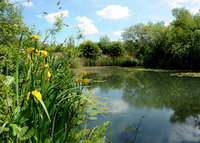Picturesque new homes for Cambridge buyers 