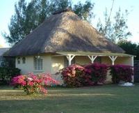Tropical Getaways 