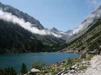 Flora and fauna in the high Pyrenees  