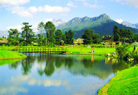 Have a whale of a time in South Africa  