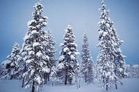 Luxury in Lapland