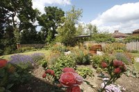 Enjoy nature in the city at Austen Court 