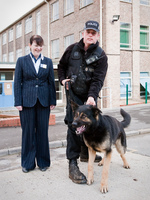 Crest Nicholson sends in the dogs