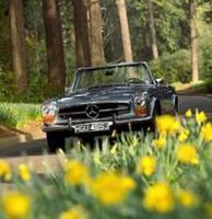Roll up in an icon