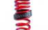 Rossini suspension