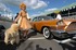 Goodwood introduces first Ladies Day